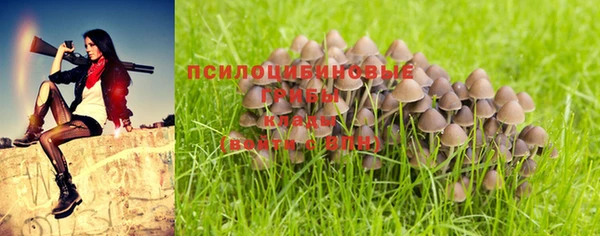 spice Абдулино