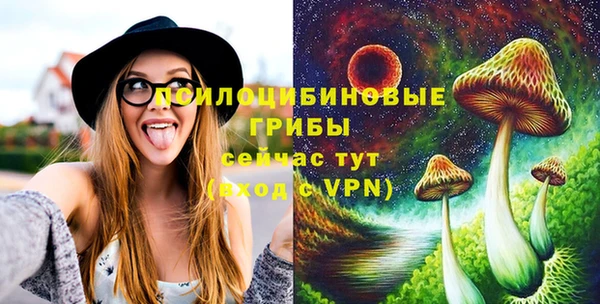 a pvp Абаза