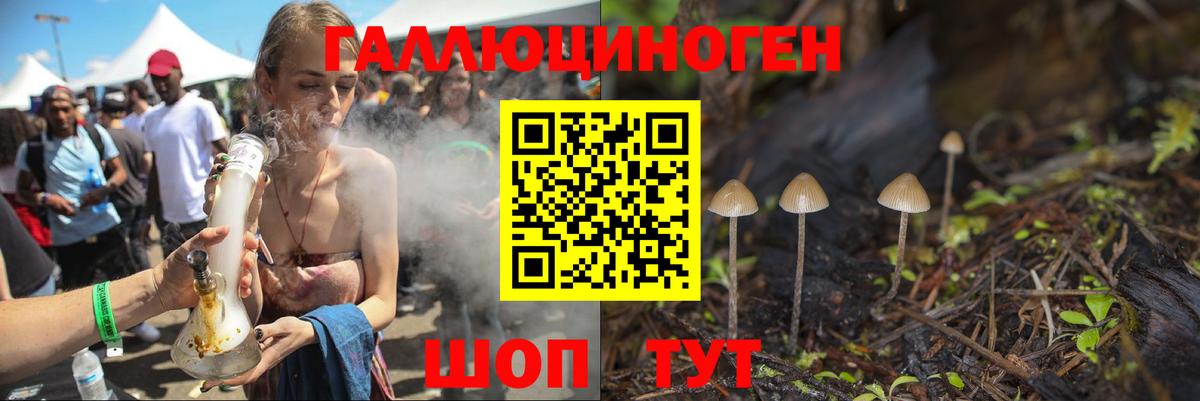 Псилоцибиновые грибы Cubensis  Вход с VPN  купить наркоту  Сальск 